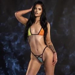 Harmony Sheer Color Block Micro Bikini